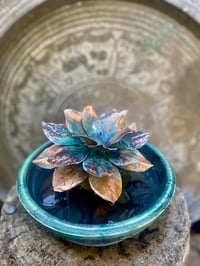 Image 3 of Lotus Flower