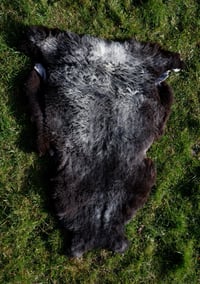 Image 1 of Harting Black Sheepskin #2