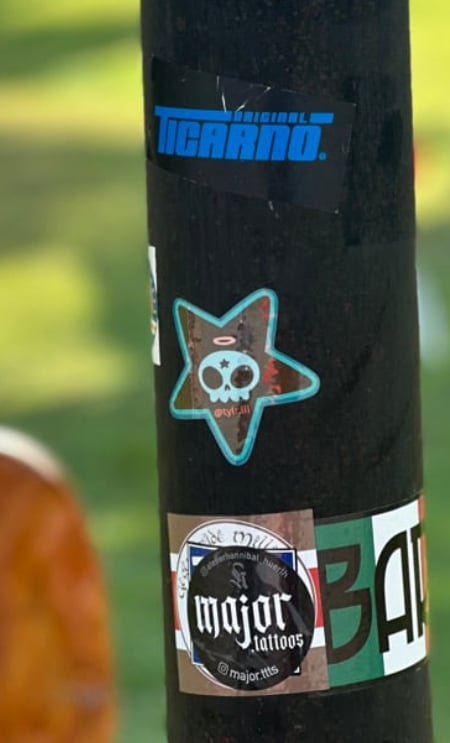 Image of “SKULLY STARS” Sticker (Mud&Teal)