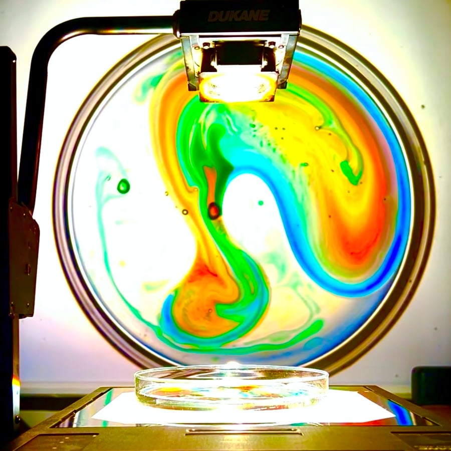 Image of Large Petri Dish Set - 6" Pair - for Liquid Light Shows