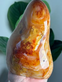 Image 7 of XL ORBICULAR CARNELIAN FREEFORM -MADAGASCAR-
