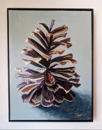 Image 1 of Long Leaf Pine Cone #3