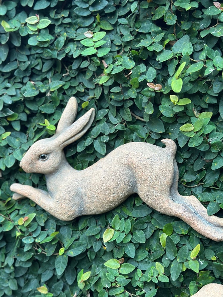 Image of Leaping Bunny Wall Art Brown