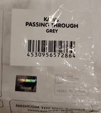 Image 7 of Kaws, "Passing Through" 