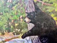 Image 4 of Hard to Get- Melonie Steffes