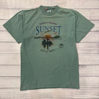 Image 1 of Vintage Field and Stream Sunset Tee - XL