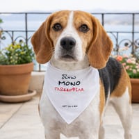 Image 4 of ΦΟΥΛΑΡΙ ΣΚΥΛΟΥ ΓΛΩΣΣΟΦΙΛΑ