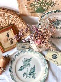 Image 5 of Coffret Nature sauvage 🕊️[au lieu de 49€]