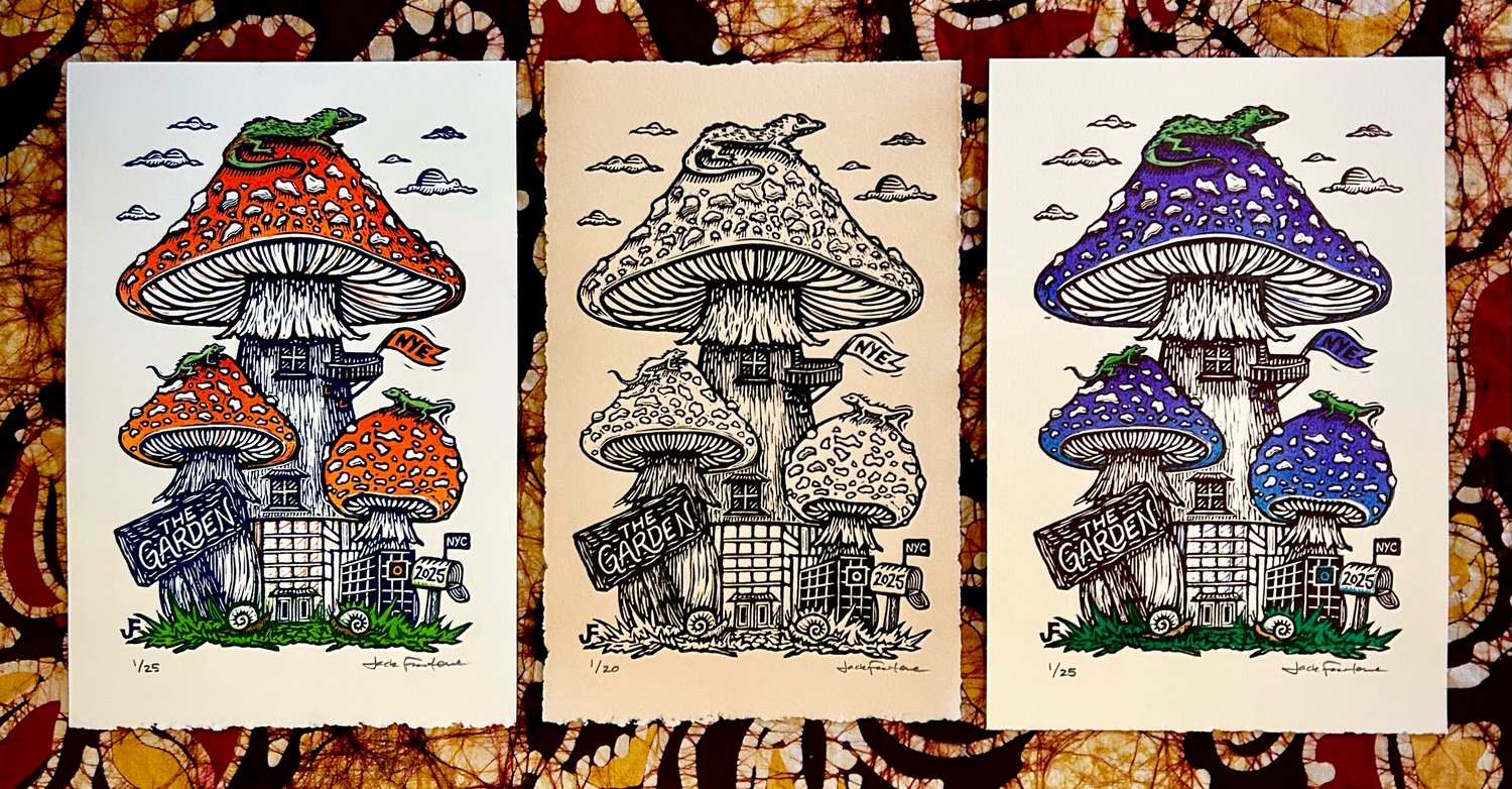 Image of New York City NYE MSG ‘25