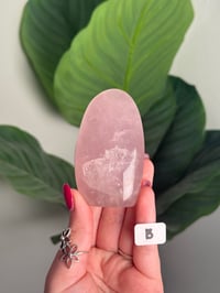 Image 2 of CHOOSE YOUR OWN STAR ROSE QUARTZ FREEFORMS -MADAGASCAR-