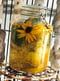 Image of SUNNY DAY, plantefarveopskrift
