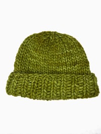 Chunky green Wool Hat 