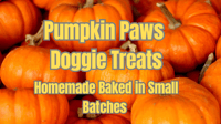 Image 1 of Pumpkin Paws Doggie Treats 11oz Bags