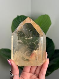 Image 7 of XL NATURAL CITRINE WITH BLACK TOURMALINE TOWER -BRAZIL-