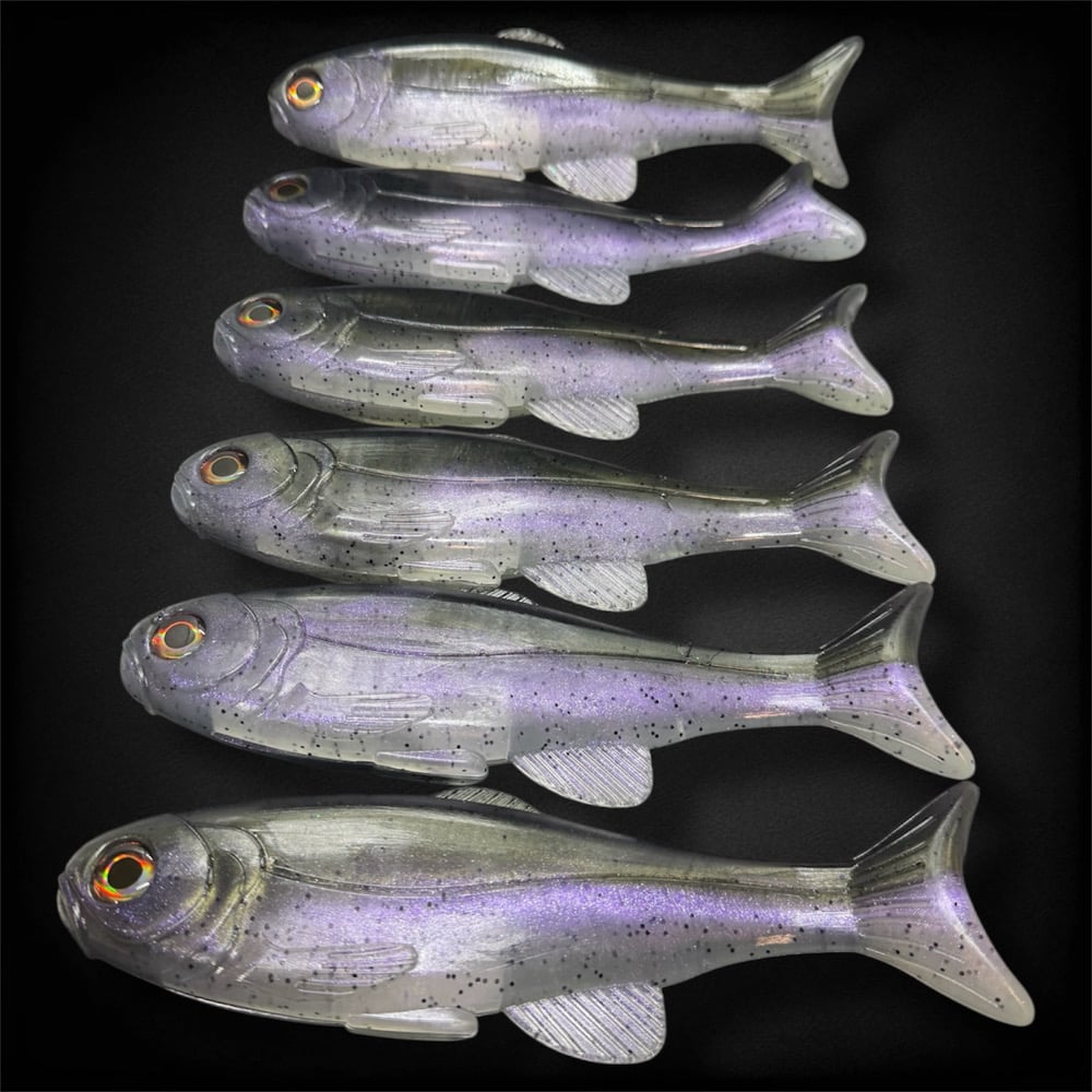 Roma Trout Custom: Cali Trout - Image 4