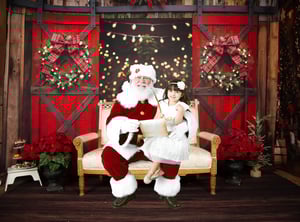 Image of 11/30/25: Christmas 17 - WITH SANTA'S TRADITIONAL SUIT