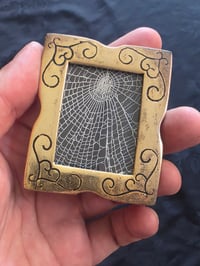 Image 1 of Small Framed Preserved Web C