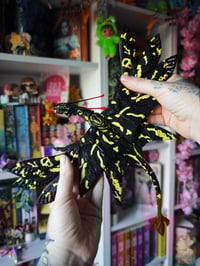 Image 1 of Ikran negro y amarillo XL