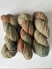 Image 2 of Bologna - Hey Jupiter