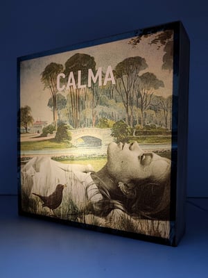 Image of Calma primavera.