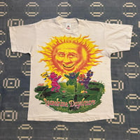 Image 1 of 1995 Sunshine Daydream Sz L 