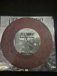 Image 3 of Lifes Torment / To the Point Split 7"