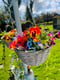Image of 14inch Grey Bright Colours