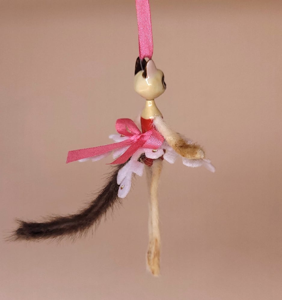 Image of Siamese Snowflake Kitten