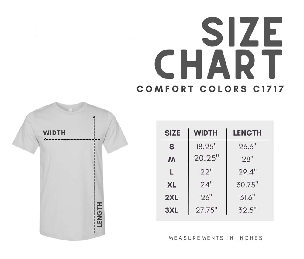 Image of Moth Talisman Comfort Colors Shirt