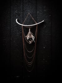 Image 1 of chandelier