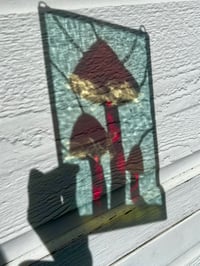 Image 5 of Red Opal Mushrooms