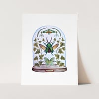 Image 3 of January Dome, Under Glass Collection