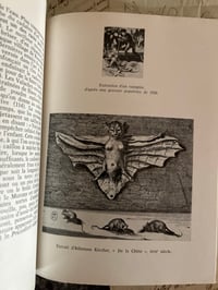 Image 10 of Les Vampires, de Tony Faivre, essai historique critique et littéraire, 1962