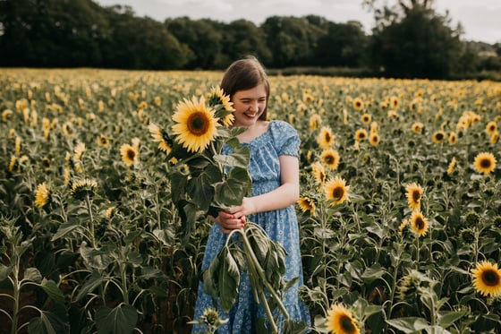 Image of Sunflower Field Shoot 2023 