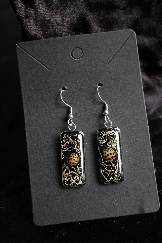 sunbleached lady bird stainless steel earrings 2 Image 6