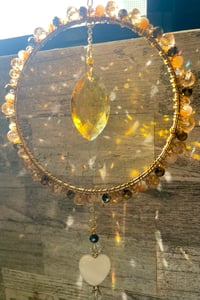 Image 3 of Grace - Orbit