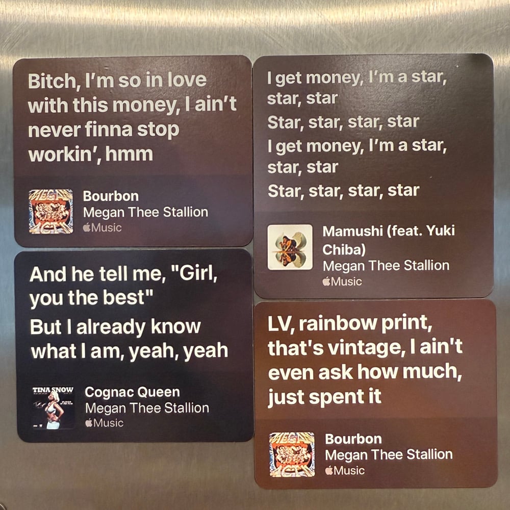 Image of Megan Thee Stallion - Money Magnets