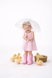 Image 1 of Duck, Duck, Smile