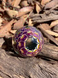 Image 3 of Amber Purple Jungle