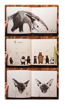 Image of Almost an Animal Alphabet 