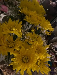 Image 2 of 🌼✨ Golden Light Bloom (LOCAL ONLY!)