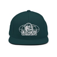 Image 1 of WWG SnapBack