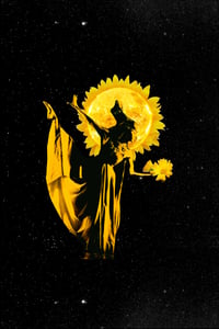 THE LUMINARIES COLLECTION