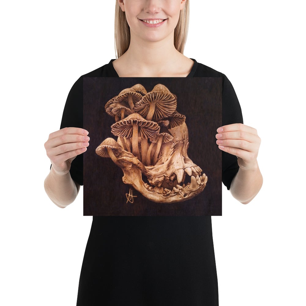 Photo Print: Pug Skull and Mushrooms