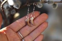 Image 2 of Orecchini -Artiglio di Volpe-