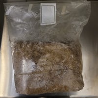 Image 3 of Lions Mane Fruiting block  on Masters mix fully colonised 2.2kg, Grow like the Pros!