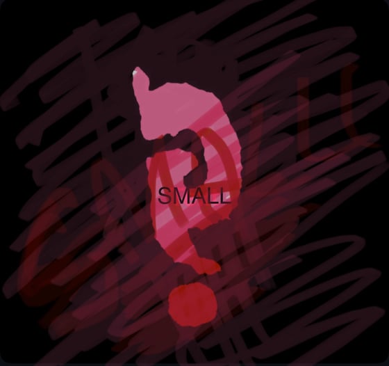 Image of SMALL SIZE LUCKY DIP!