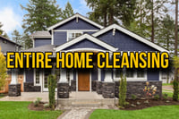 Home and Business Cleansings