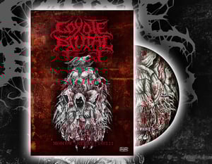 Image of COYOTE BRUTAL FEST - 6 DVD