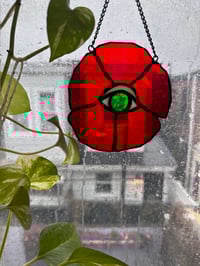 Image 4 of Eye Catcher Poppy 👁️